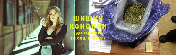 дживик Богородск