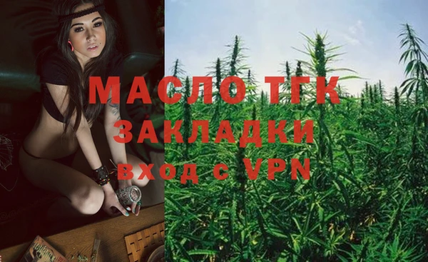 дживик Богородск