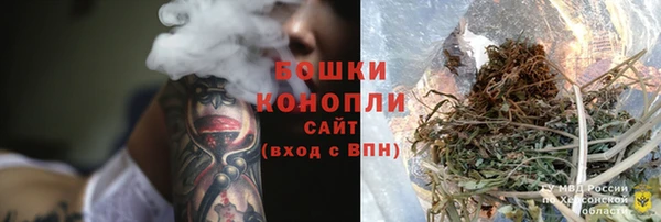 дживик Богородск