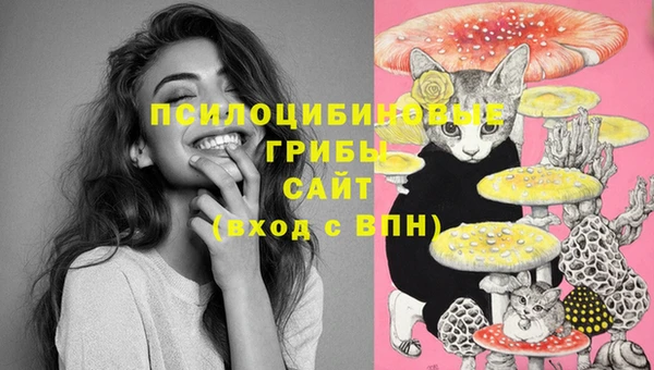 марихуана Богородицк