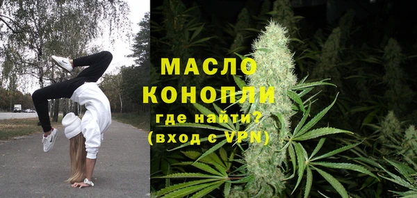 дживик Богородск