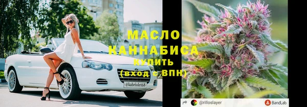 дживик Богородск